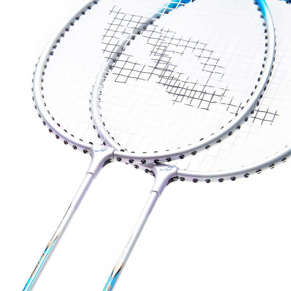 Набор для бадминтона DOUBLE FISH JINQUE LT-119, длина 630мм,2 ракетки в чехле