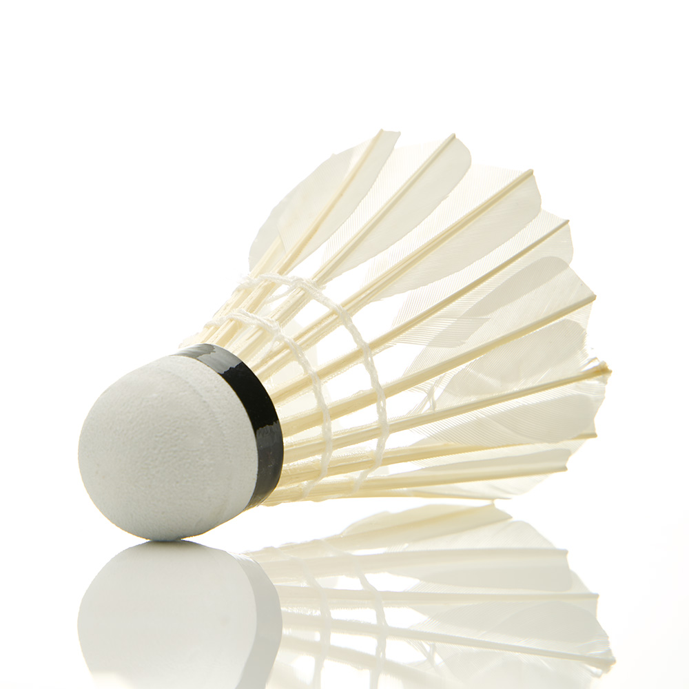 Воланы для бадминтона DOUBLE FISH JINQUE 09, перо, 12 шт.