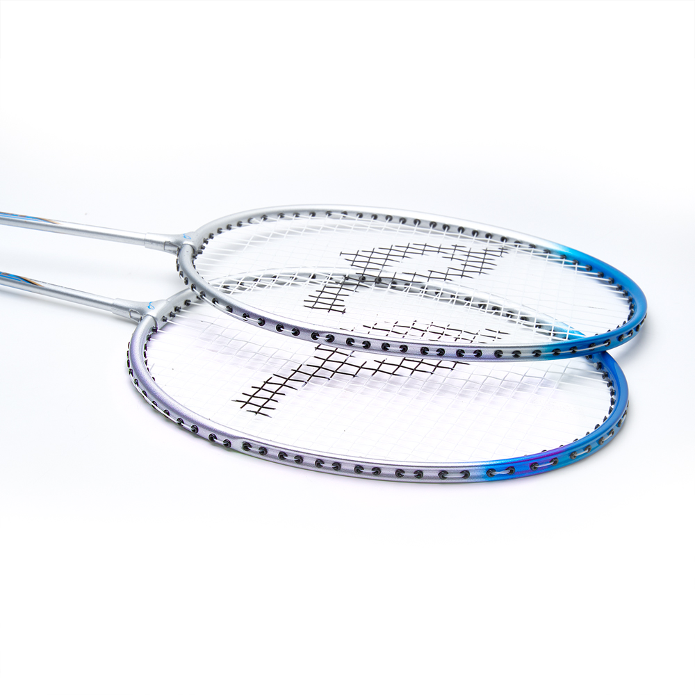 Набор для бадминтона DOUBLE FISH JINQUE LT-119, длина 630мм,2 ракетки в чехле